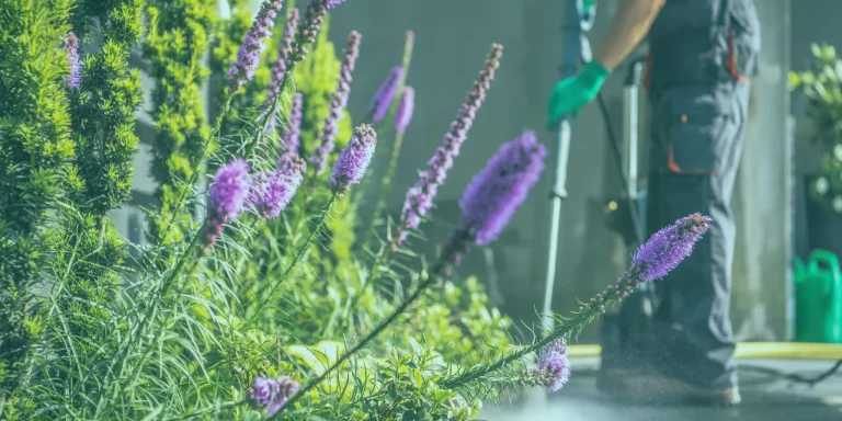 NDIS Spring Cleaning Services Burpengary East